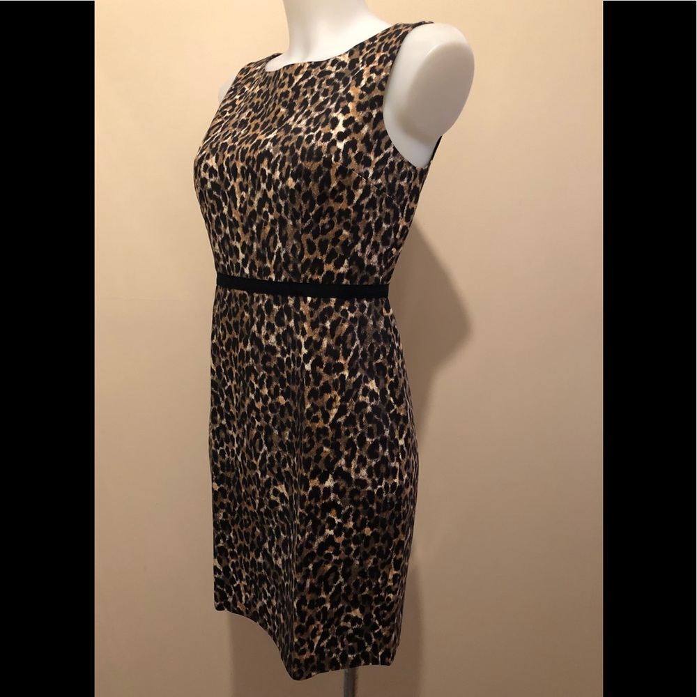ANN TAYLOR LOFT LEOPARD PRINT SLEEVELESS DRESSπ0P - Picture 7 of 17